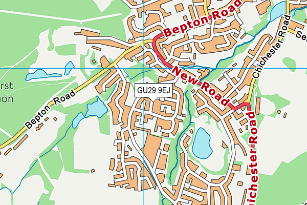 GU29 9EJ map - OS VectorMap District (Ordnance Survey)