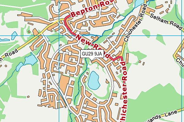 GU29 9JA map - OS VectorMap District (Ordnance Survey)