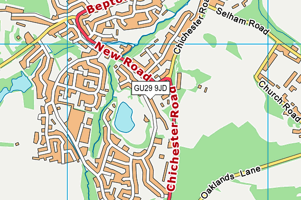 GU29 9JD map - OS VectorMap District (Ordnance Survey)