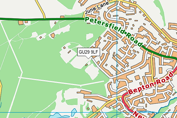 GU29 9LF map - OS VectorMap District (Ordnance Survey)