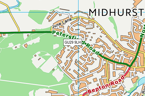 GU29 9LH map - OS VectorMap District (Ordnance Survey)