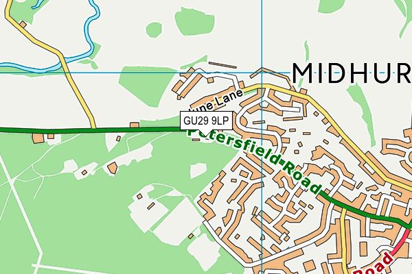 GU29 9LP map - OS VectorMap District (Ordnance Survey)