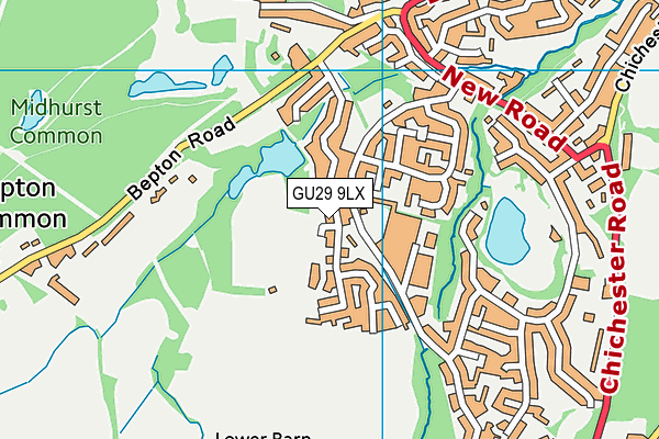 GU29 9LX map - OS VectorMap District (Ordnance Survey)