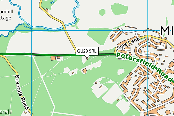 GU29 9RL map - OS VectorMap District (Ordnance Survey)