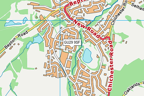 GU29 9SF map - OS VectorMap District (Ordnance Survey)