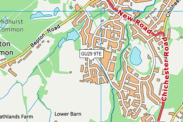 GU29 9TE map - OS VectorMap District (Ordnance Survey)