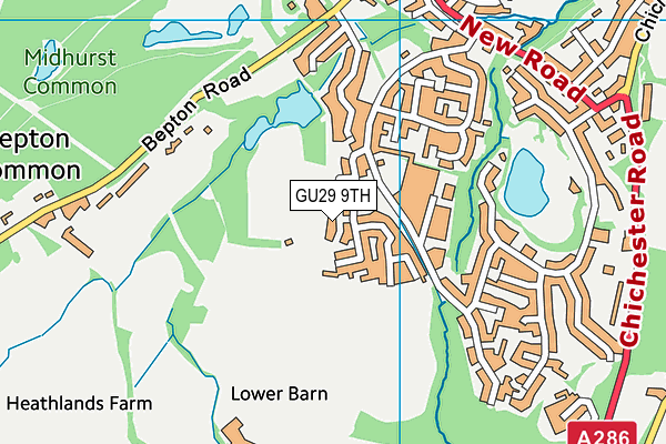 GU29 9TH map - OS VectorMap District (Ordnance Survey)