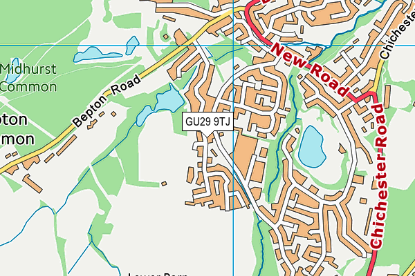 GU29 9TJ map - OS VectorMap District (Ordnance Survey)