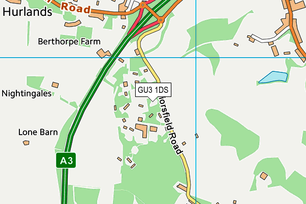 GU3 1DS map - OS VectorMap District (Ordnance Survey)