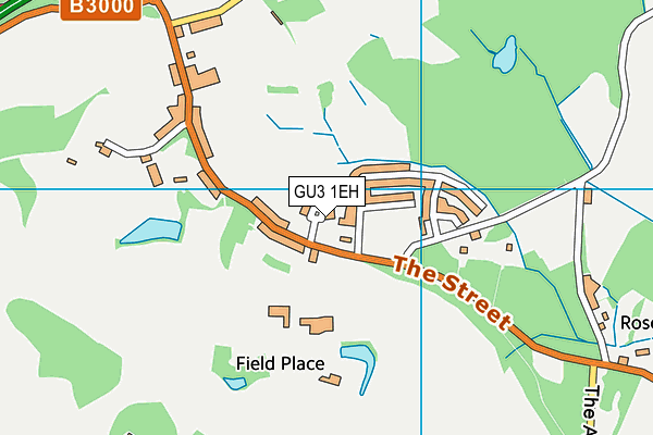 GU3 1EH map - OS VectorMap District (Ordnance Survey)