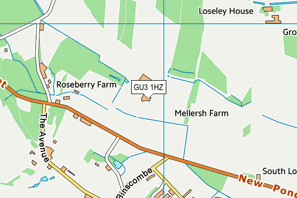 GU3 1HZ map - OS VectorMap District (Ordnance Survey)