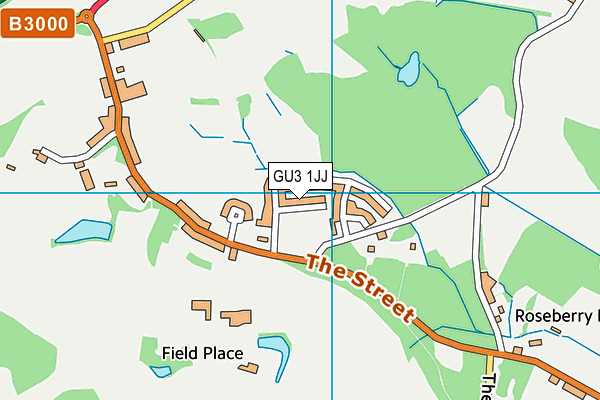 GU3 1JJ map - OS VectorMap District (Ordnance Survey)