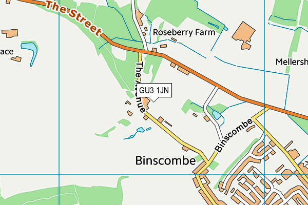 GU3 1JN map - OS VectorMap District (Ordnance Survey)