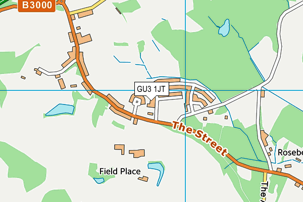 GU3 1JT map - OS VectorMap District (Ordnance Survey)