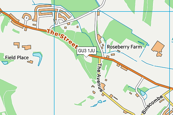 GU3 1JU map - OS VectorMap District (Ordnance Survey)