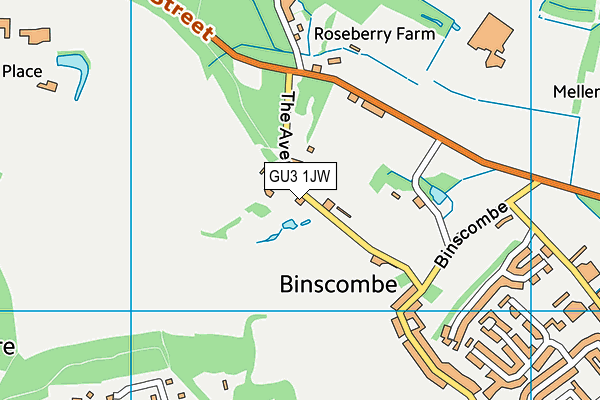 GU3 1JW map - OS VectorMap District (Ordnance Survey)