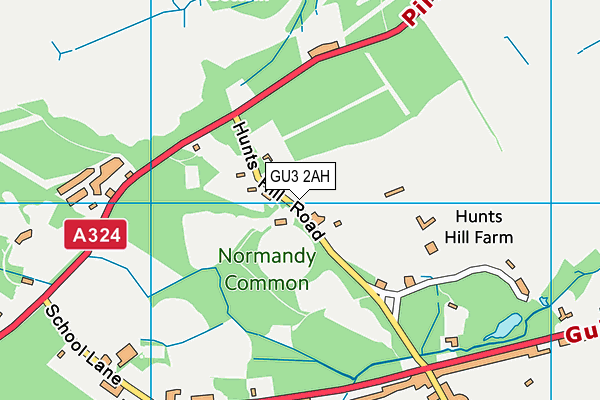 Normandy Common map (GU3 2AH) - OS VectorMap District (Ordnance Survey)