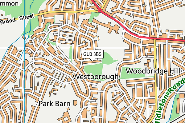 GU3 3BS map - OS VectorMap District (Ordnance Survey)