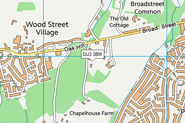 GU3 3BW map - OS VectorMap District (Ordnance Survey)