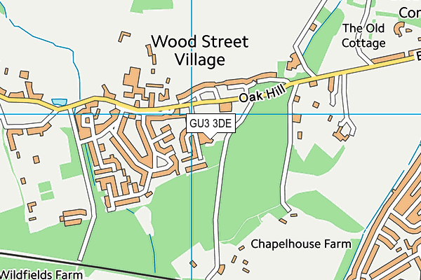 GU3 3DE map - OS VectorMap District (Ordnance Survey)