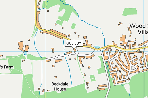 GU3 3DY map - OS VectorMap District (Ordnance Survey)