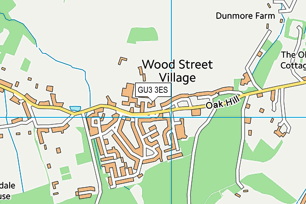 GU3 3ES map - OS VectorMap District (Ordnance Survey)