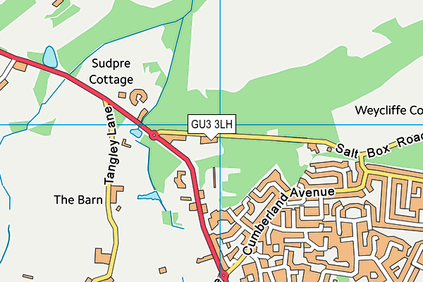 GU3 3LH map - OS VectorMap District (Ordnance Survey)