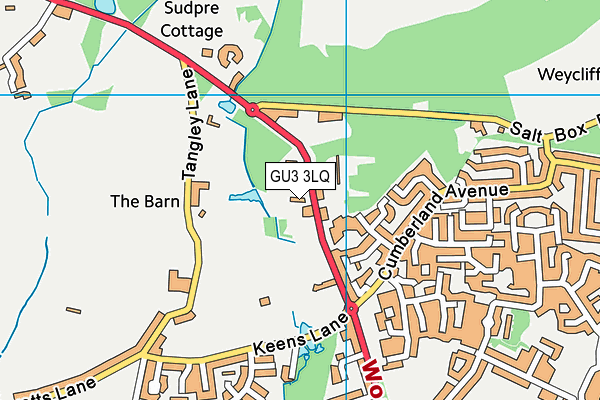 GU3 3LQ map - OS VectorMap District (Ordnance Survey)