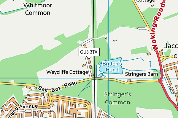 GU3 3TA map - OS VectorMap District (Ordnance Survey)