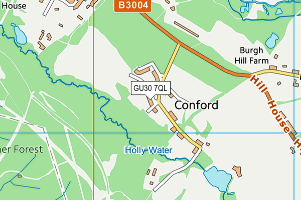 GU30 7QL map - OS VectorMap District (Ordnance Survey)