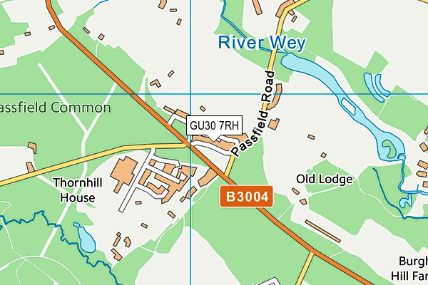 GU30 7RH map - OS VectorMap District (Ordnance Survey)