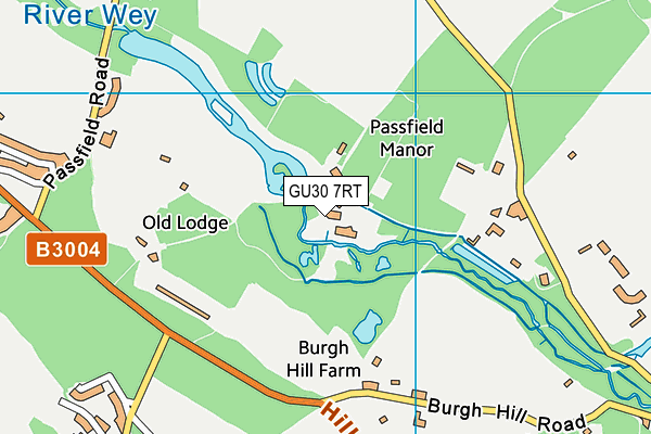 GU30 7RT map - OS VectorMap District (Ordnance Survey)