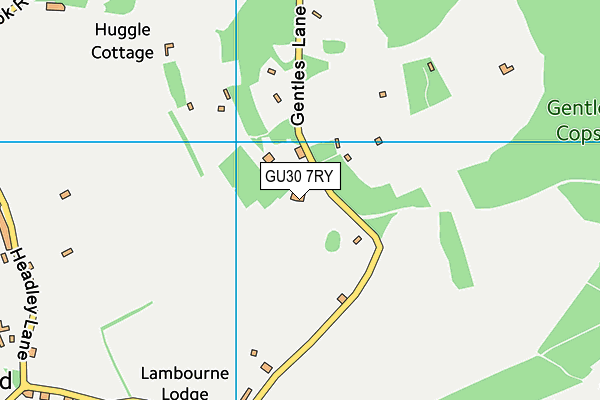 GU30 7RY map - OS VectorMap District (Ordnance Survey)
