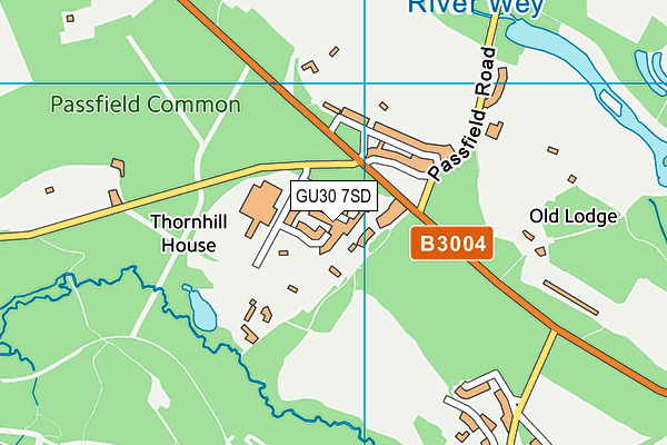 GU30 7SD map - OS VectorMap District (Ordnance Survey)