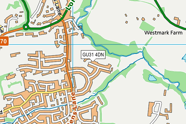 GU31 4DN map - OS VectorMap District (Ordnance Survey)
