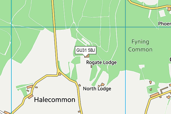 GU31 5BJ map - OS VectorMap District (Ordnance Survey)