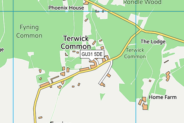 GU31 5DE map - OS VectorMap District (Ordnance Survey)