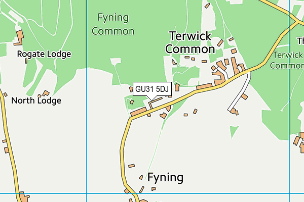 GU31 5DJ map - OS VectorMap District (Ordnance Survey)