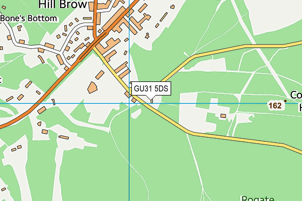 GU31 5DS map - OS VectorMap District (Ordnance Survey)