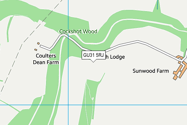 GU31 5RJ map - OS VectorMap District (Ordnance Survey)