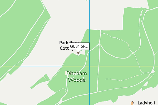 GU31 5RL map - OS VectorMap District (Ordnance Survey)