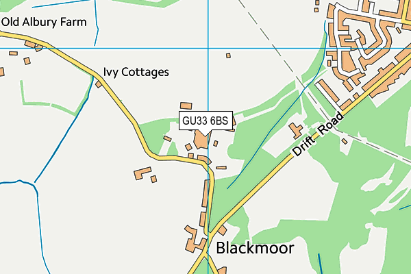 GU33 6BS map - OS VectorMap District (Ordnance Survey)