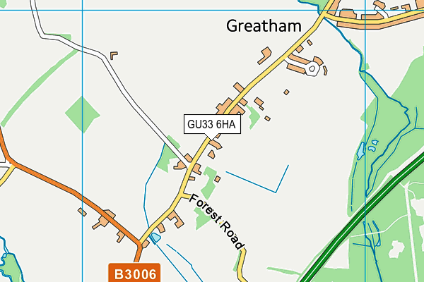 Greatham Primary School map (GU33 6HA) - OS VectorMap District (Ordnance Survey)
