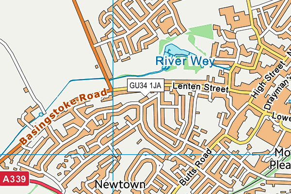 GU34 1JA map - OS VectorMap District (Ordnance Survey)