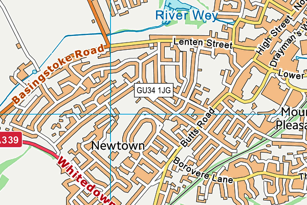 GU34 1JG map - OS VectorMap District (Ordnance Survey)