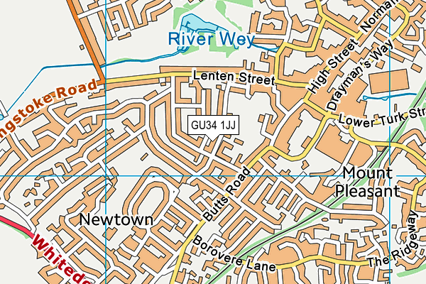 GU34 1JJ map - OS VectorMap District (Ordnance Survey)