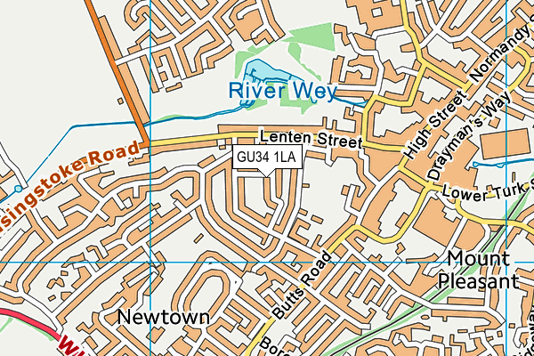 GU34 1LA map - OS VectorMap District (Ordnance Survey)