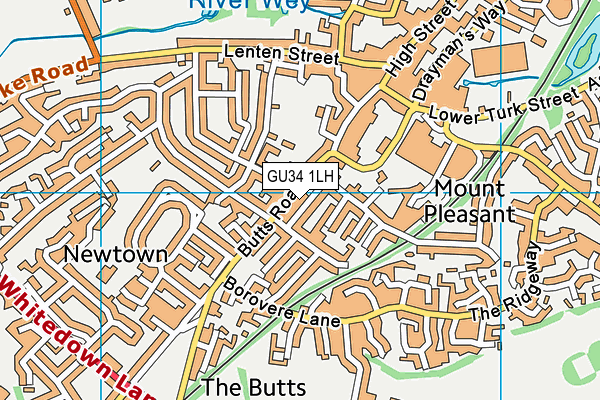 GU34 1LH map - OS VectorMap District (Ordnance Survey)