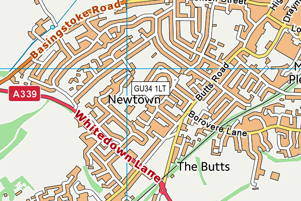 GU34 1LT map - OS VectorMap District (Ordnance Survey)