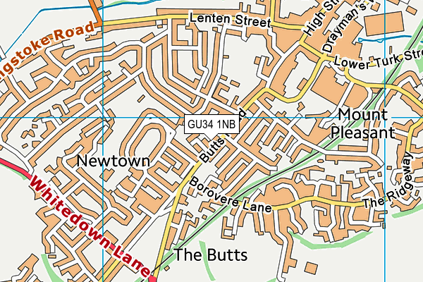 GU34 1NB map - OS VectorMap District (Ordnance Survey)